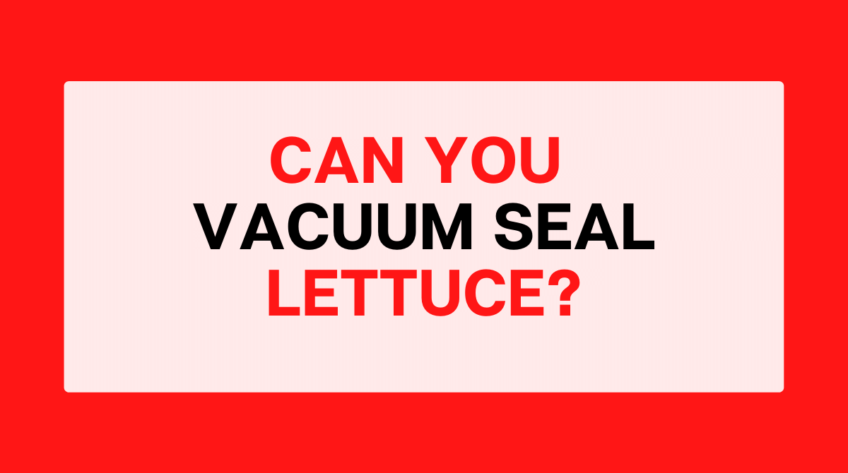 Can you Vacuum Seal Lettuce?
