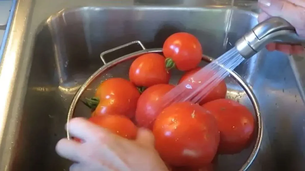 Clean The Tomatoes Properly